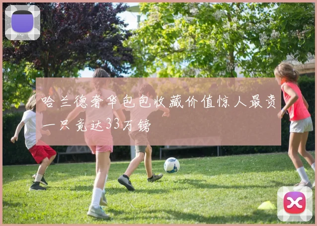 哈兰德奢华包包收藏价值惊人最贵一只竟达33万镑